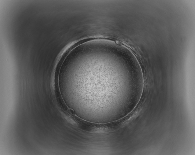 X0000112740200200908271528