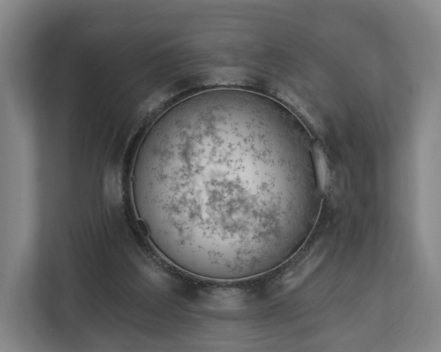 X0000112740203200908271528