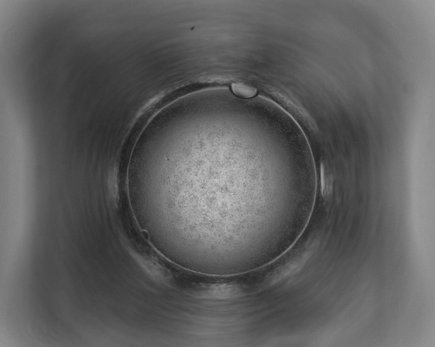 X0000112740204200908271528