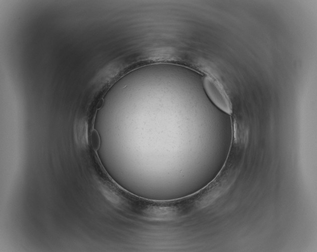 X0000112740205200908271528