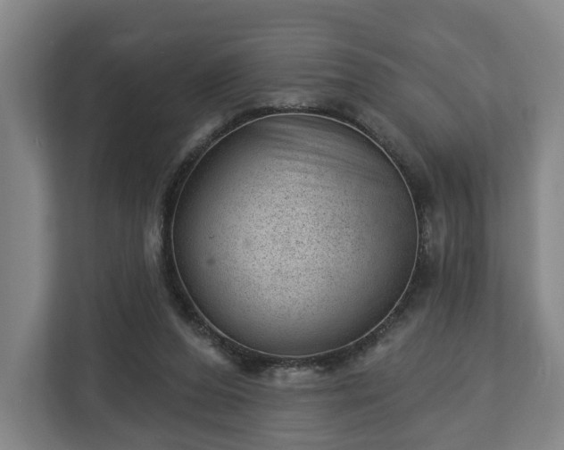 X0000112740208200908271528