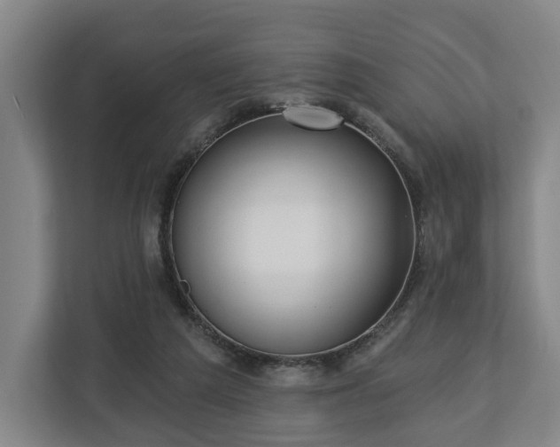 X0000112740209200908271528