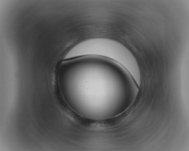 X0000112740211200908271528