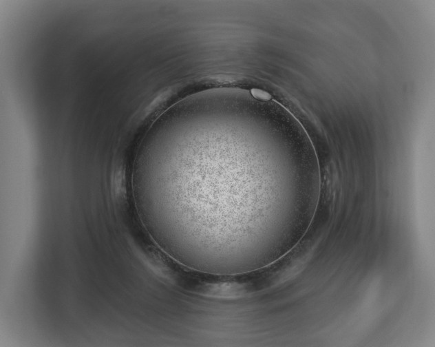 X0000112740212200908271528