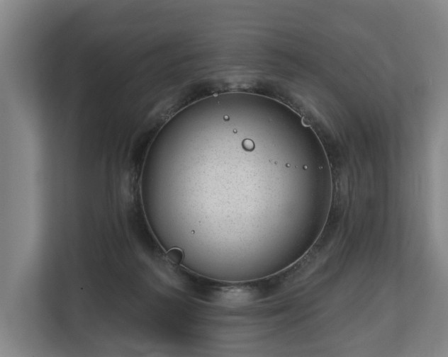 X0000112740218200908271528