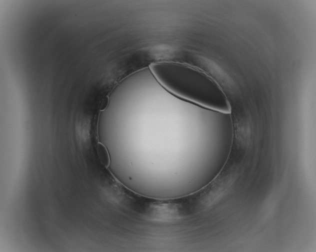 X0000112740221200908271528