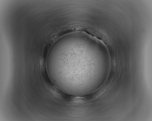 X0000112740222200908271528