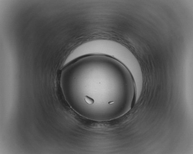 X0000112740223200908271528