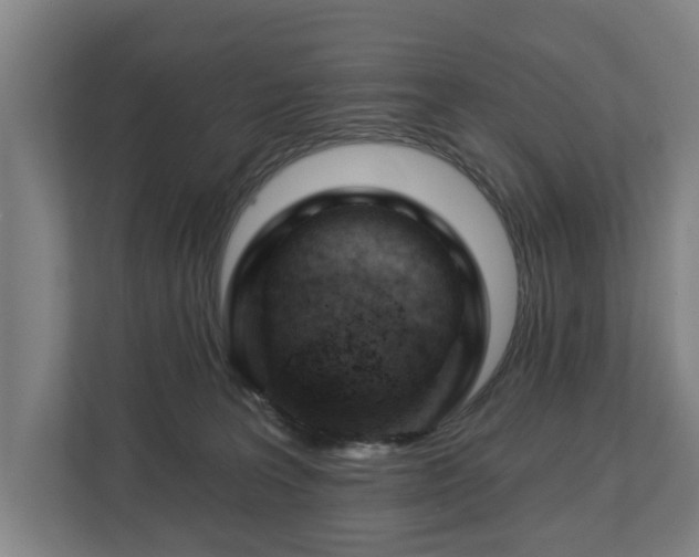 X0000112740227200908271528