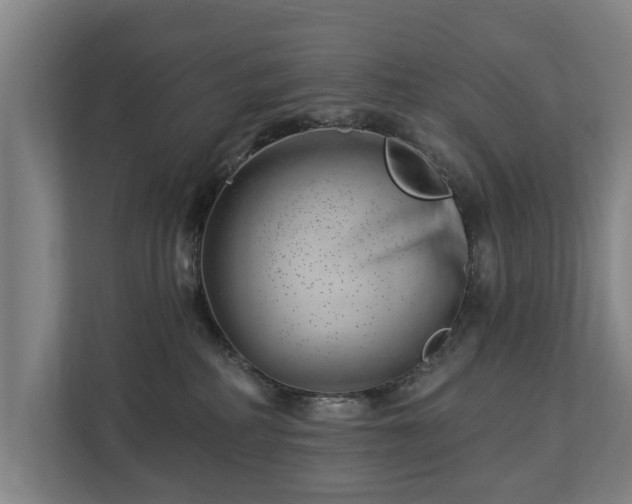 X0000112740234200908271528