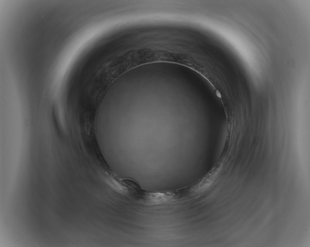 X0000112740239200908271528