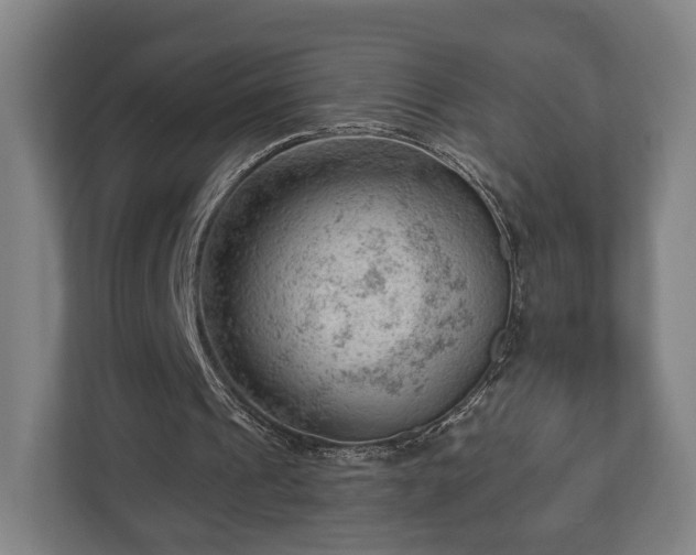 X0000112740241200908271527