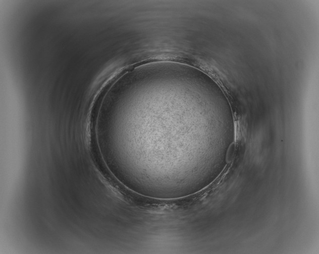 X0000112740243200908271527