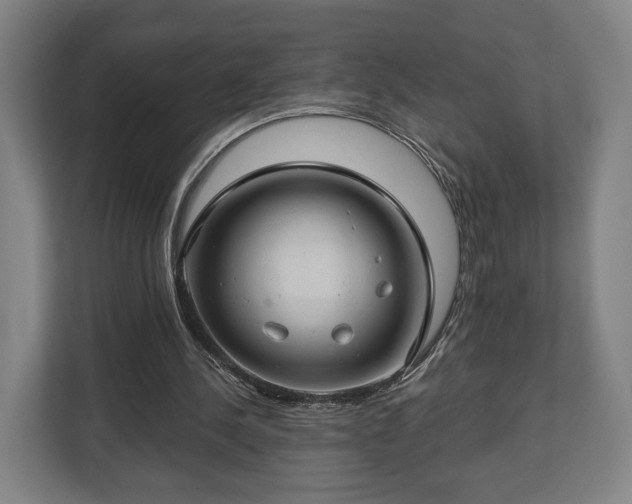 X0000112740244200908271527