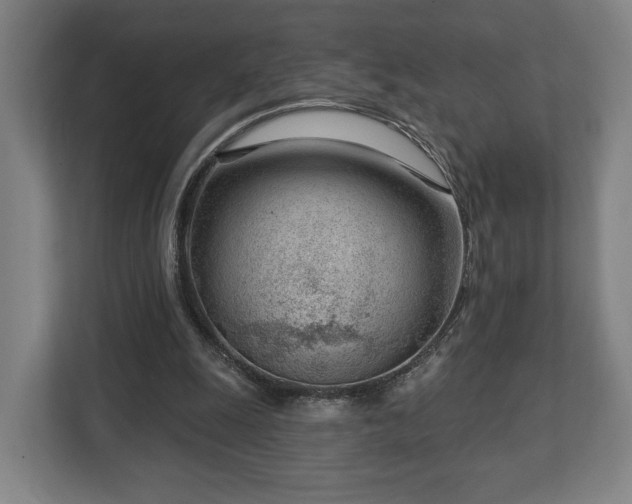 X0000112740247200908271527