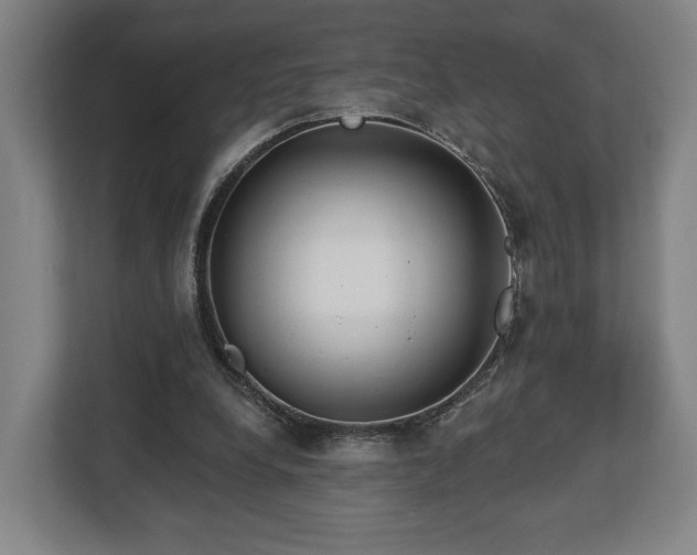 X0000112740248200908271527