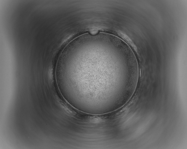 X0000112740249200908271527