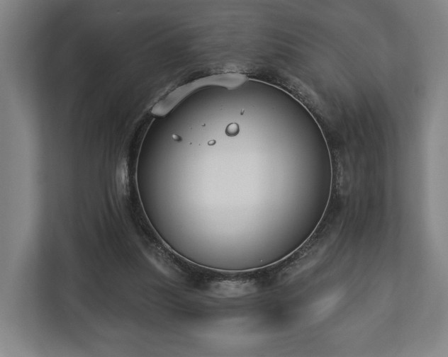 X0000112740251200908271527