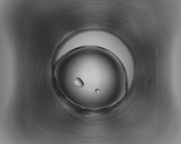 X0000112740256200908271527