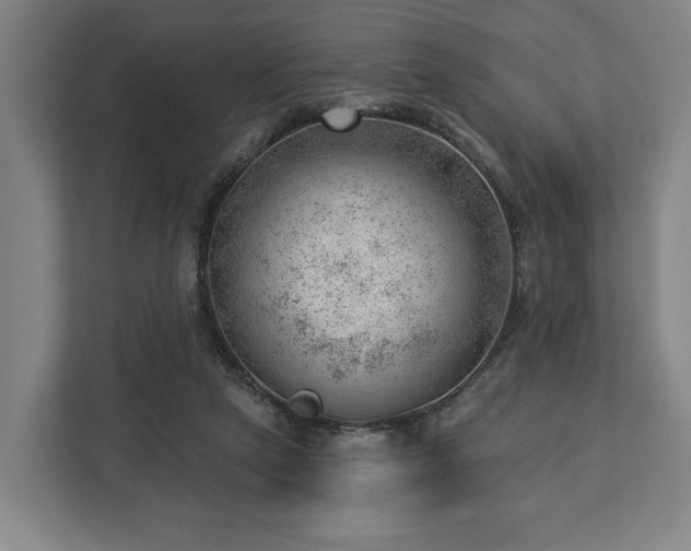 X0000112740257200908271527