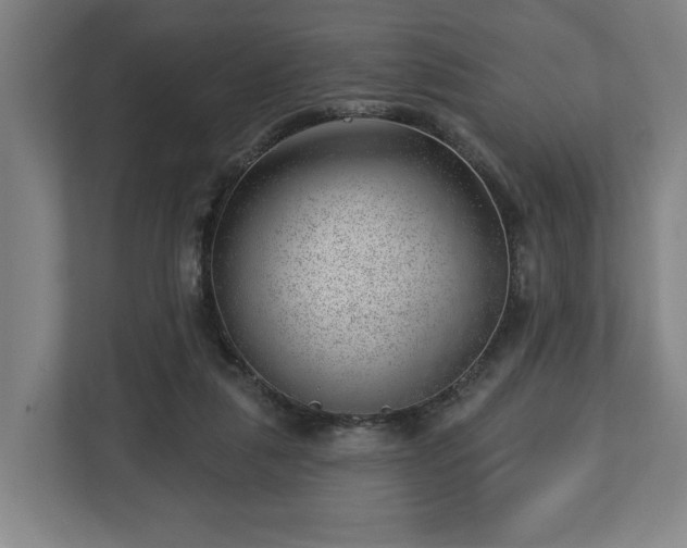 X0000112740259200908271527