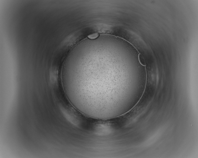 X0000112740263200908271527