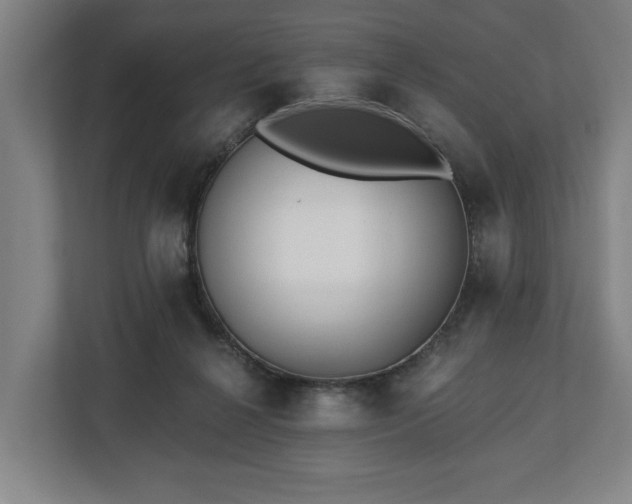 X0000112740264200908271527