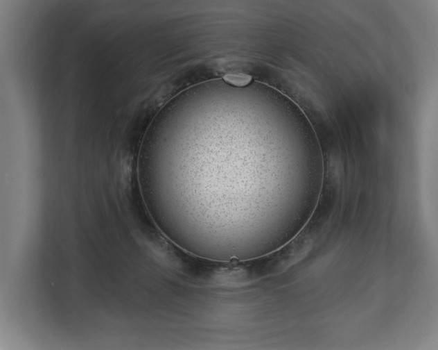 X0000112740271200908271527