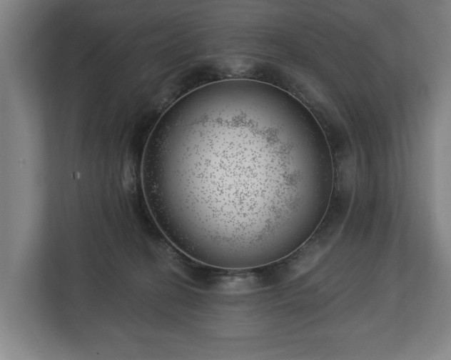 X0000112740274200908271527