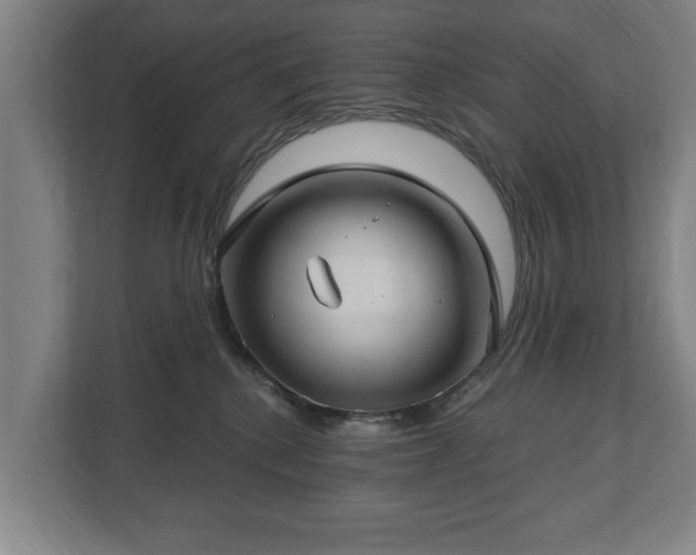 X0000112740280200908271528