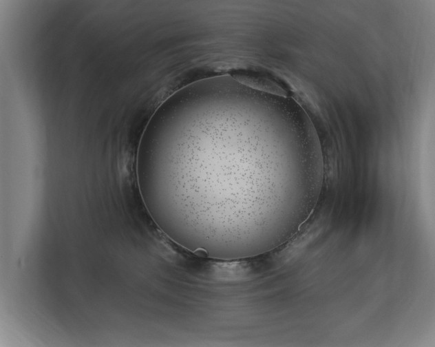 X0000112740281200908271528