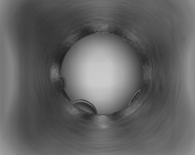 X0000112740287200908271528