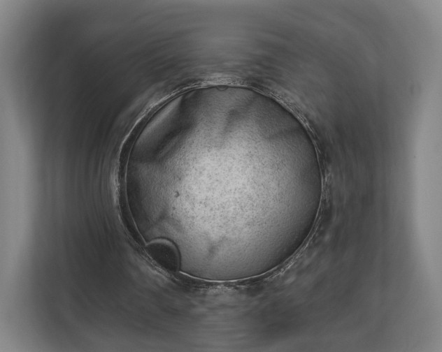 X0000112740290200908271527