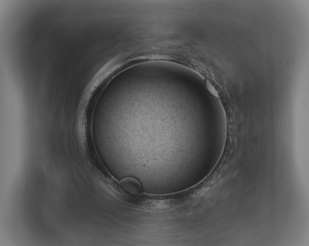 X0000112740295200908271527