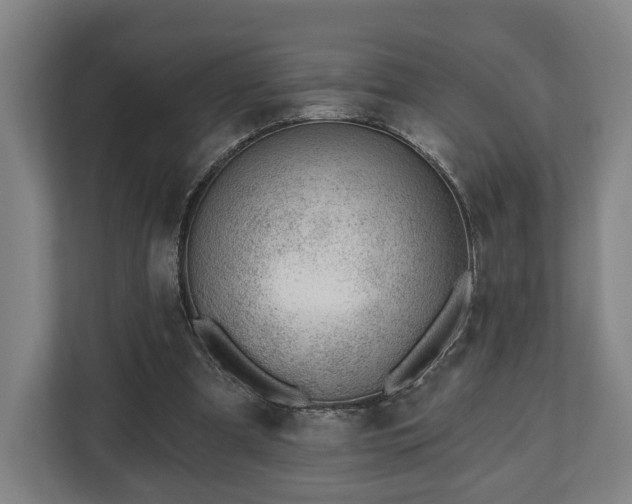 X0000112740297200908271527