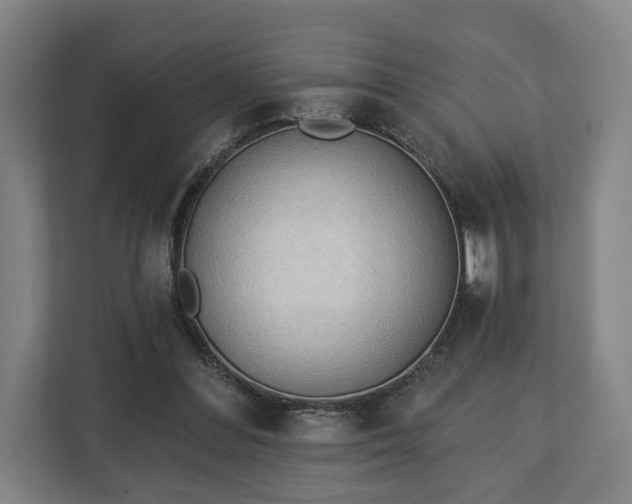 X0000112740300200908271527