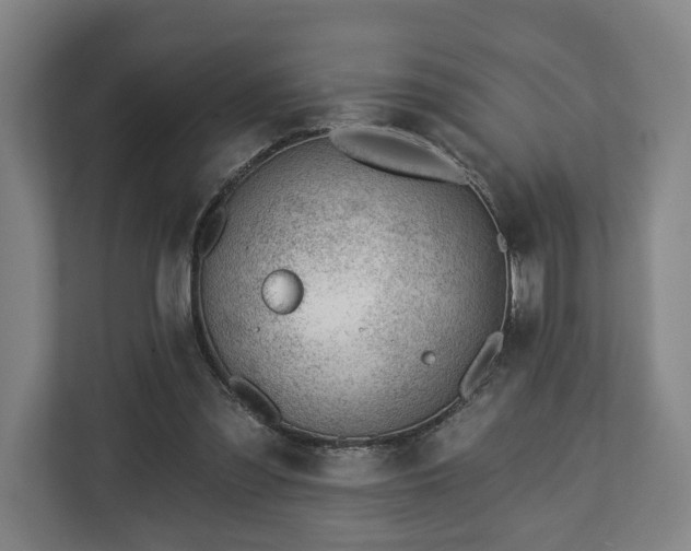 X0000112740301200908271527