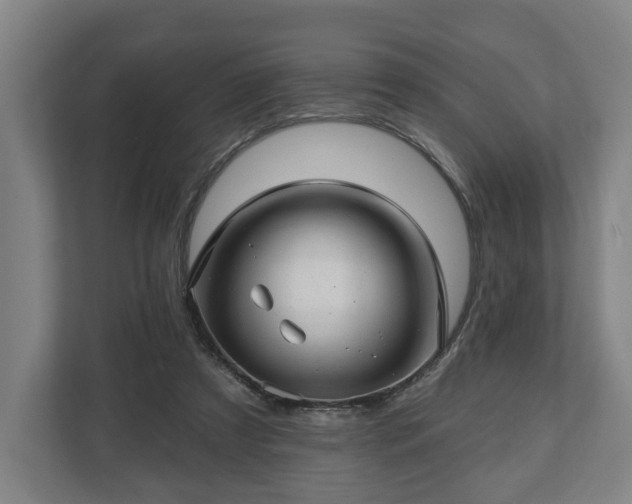 X0000112740305200908271527