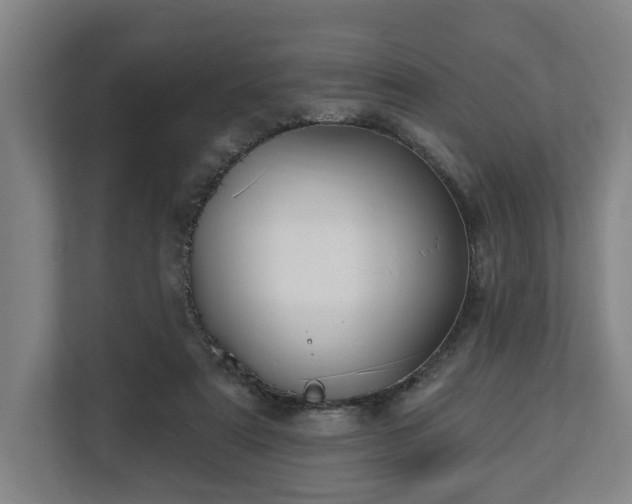 X0000112740307200908271527