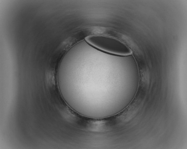 X0000112740313200908271527