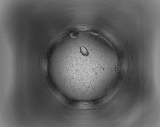 X0000112740315200908271527