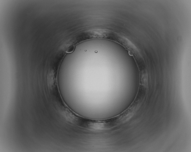 X0000112740318200908271527