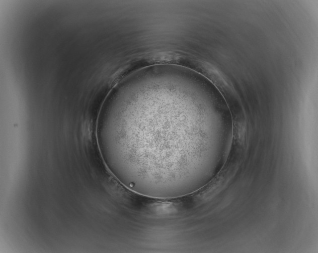 X0000112740326200908271527