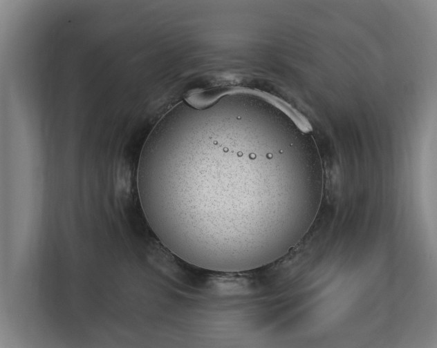 X0000112740331200908271526