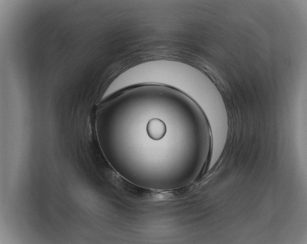 X0000112740333200908271526