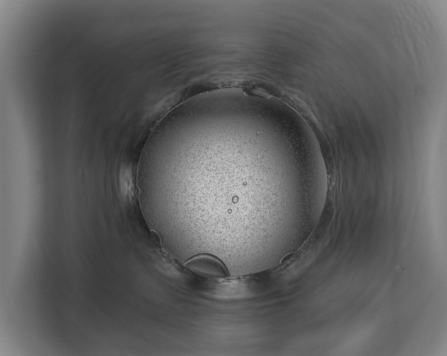 X0000112740335200908271526