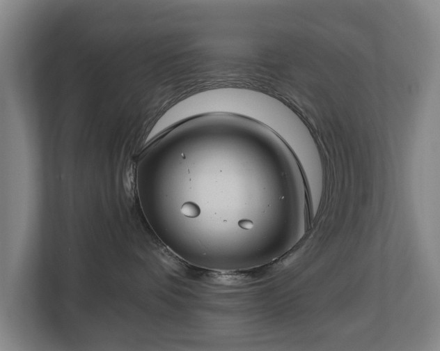 X0000112740336200908271526