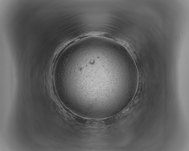 X0000112740337200908271526