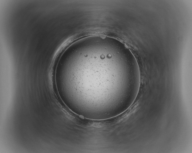 X0000112740341200908271526