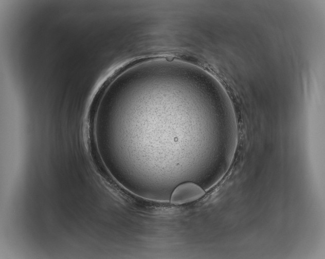 X0000112740342200908271526